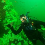 Scuba diver exploring underwater coral reef.