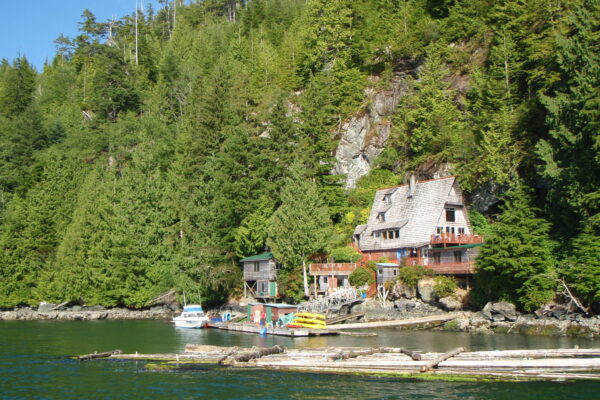 Cozy waterfront house surrounded by lush green forest.
