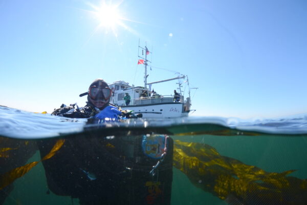 Diver underwater near a boat on sunny day.