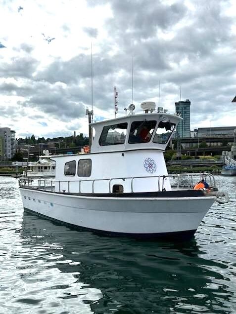 White boat on water with city background.
