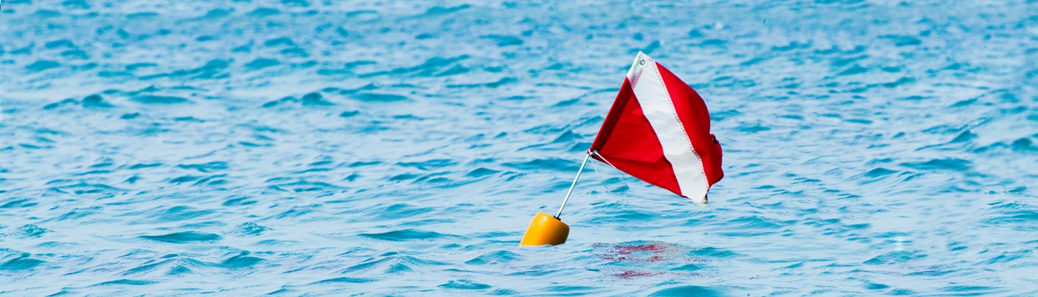 Red diver flag floating on ocean surface.