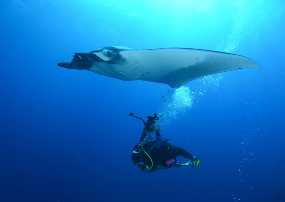 Socorro Islands & San Ignacio Whales 2026