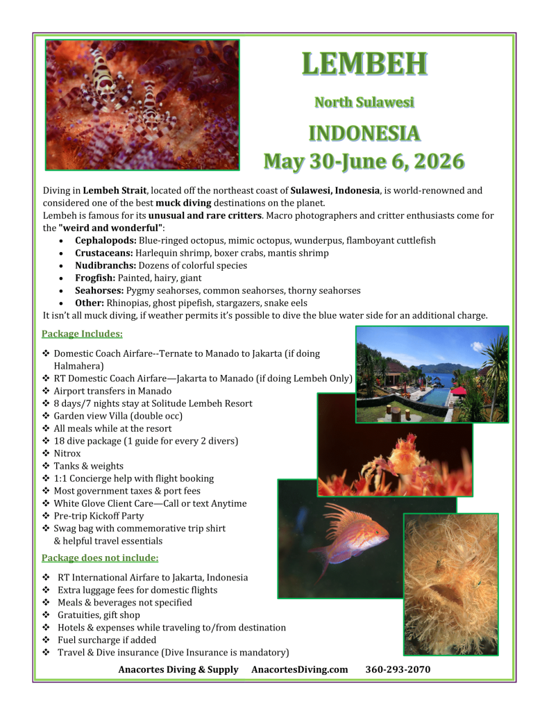 Lembeh Strait diving Indonesia May 2026 exotic marine life