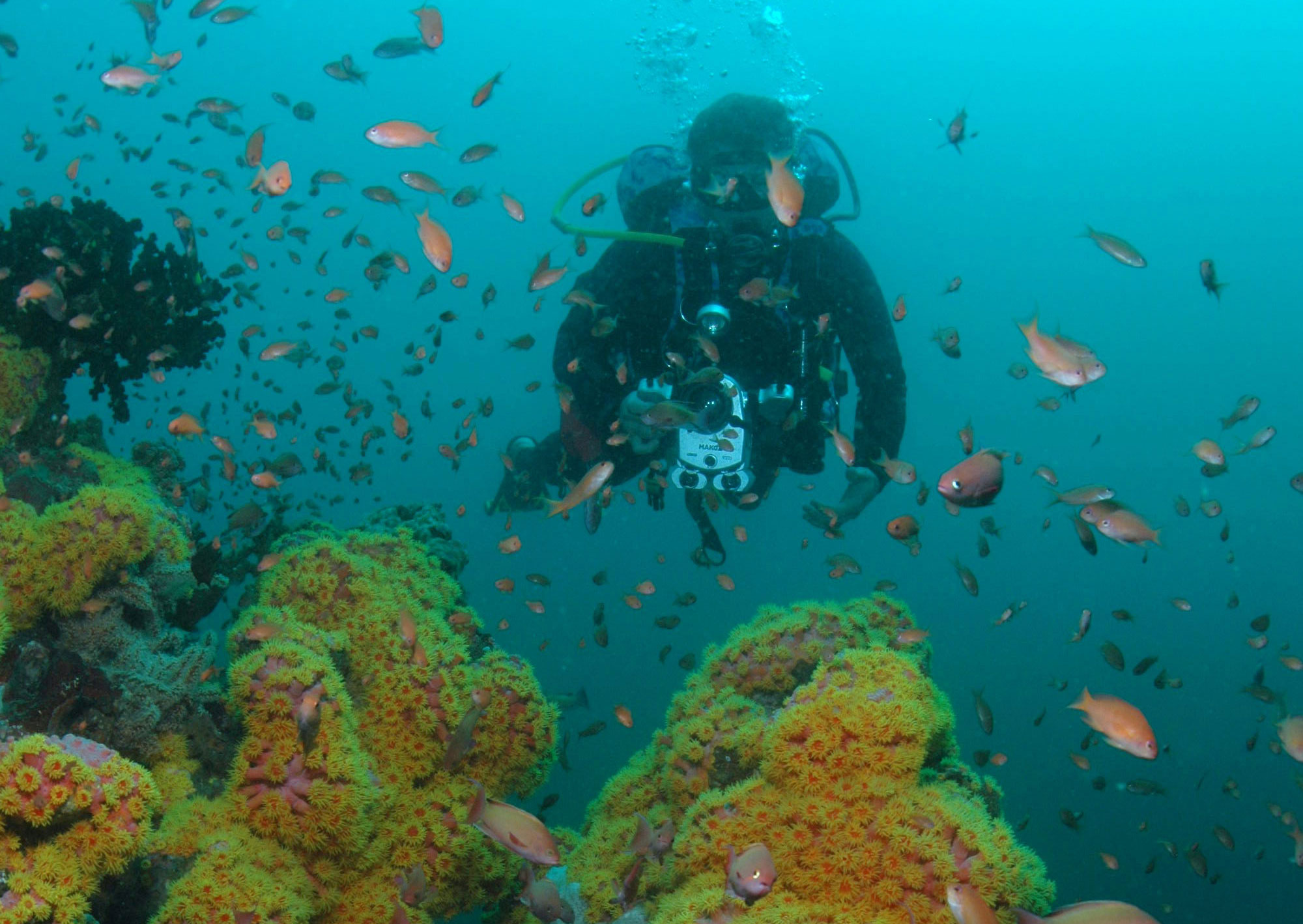 Philippines, Puerto Galera
