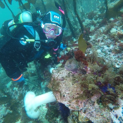 Scuba diver exploring colorful underwater reef.
