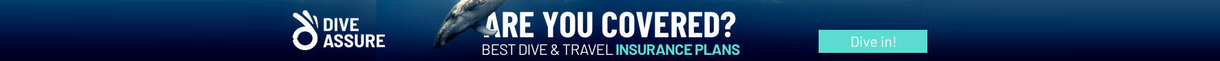 Dive travel insurance information and coverage options banner.